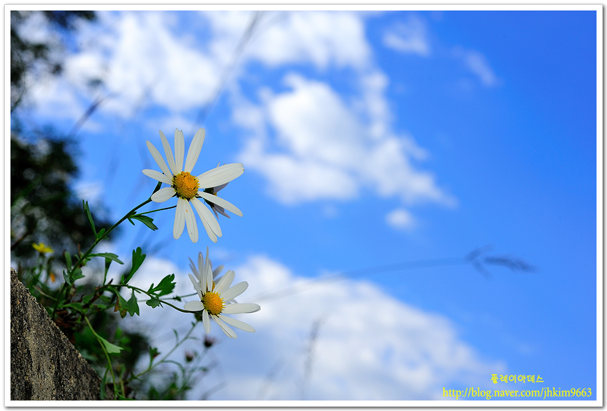 DSC_1390.jpg