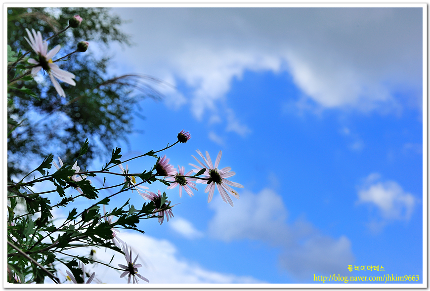 DSC_1375.jpg