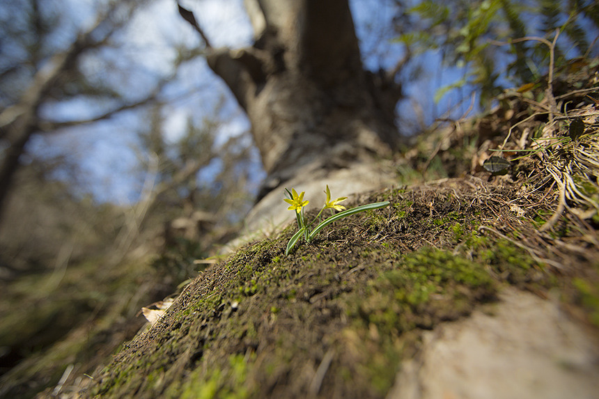 _KP_0645.jpg