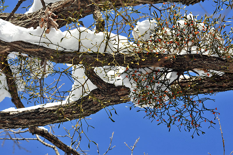 20110102_0106-1.jpg
