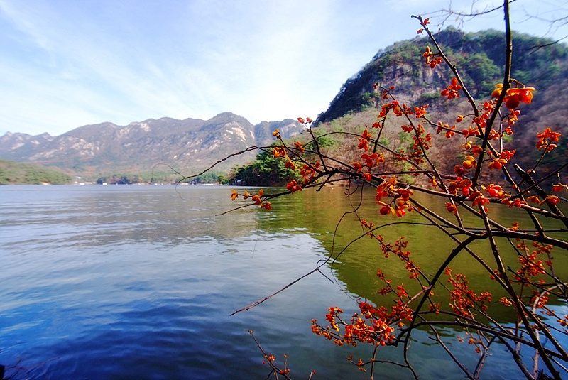 DSCF1111.jpg