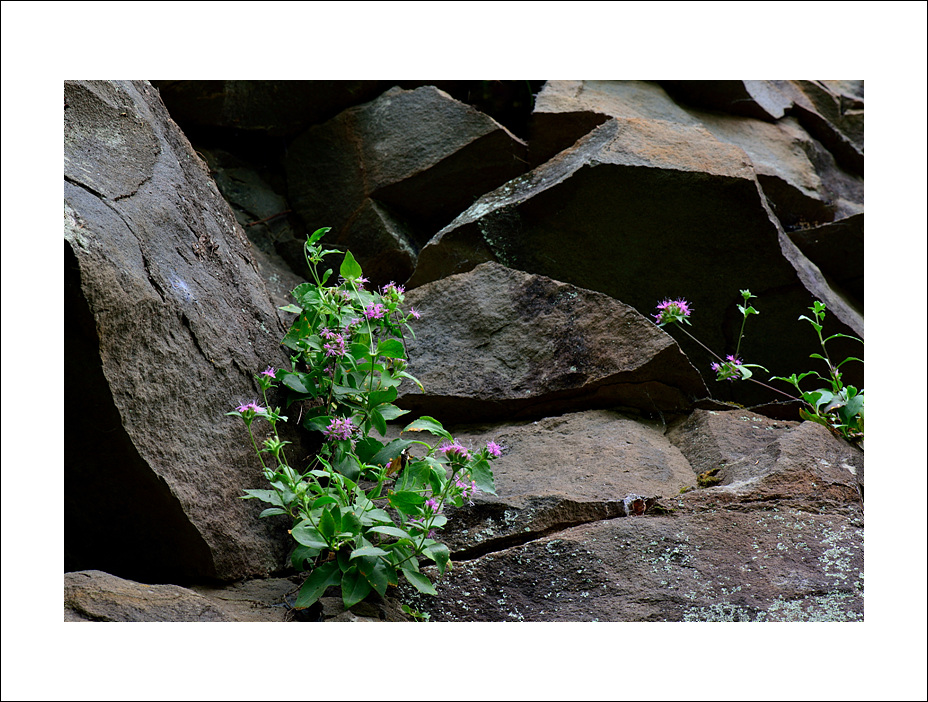 DSC_5066.jpg