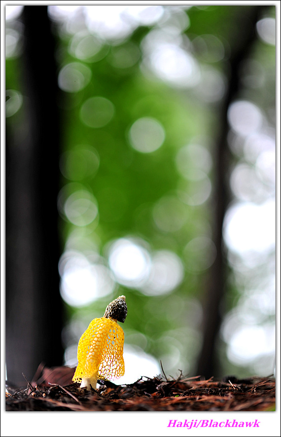 DSC_6766.jpg