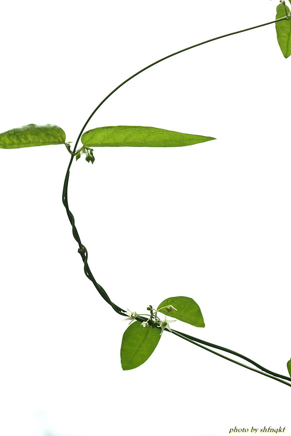 QH3S9754.jpg