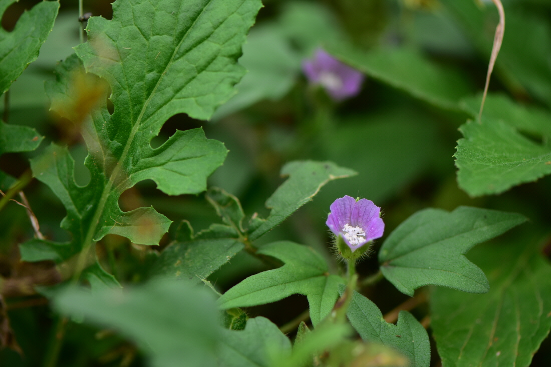 DSC_6059.JPG