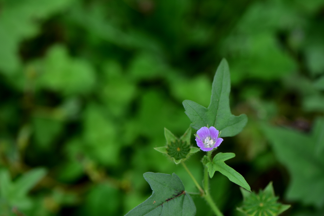 DSC_6184.JPG