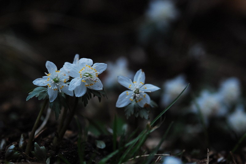 크기변환_DSC_0069.JPG