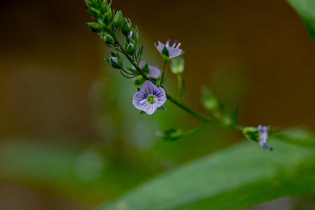 5A7A0387.psd-1.jpg