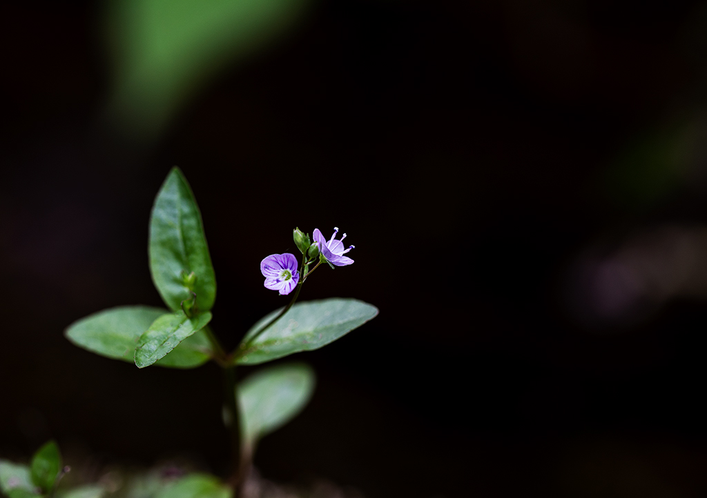 5A7A0431.psd-1.jpg