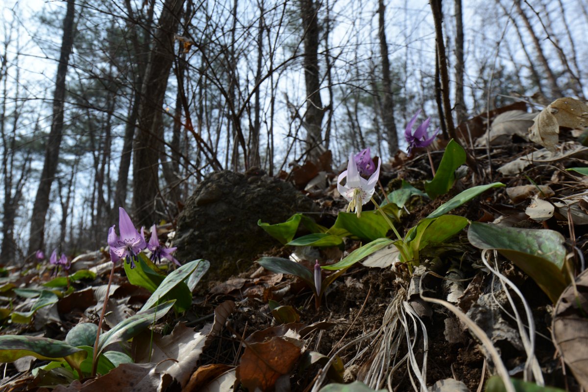 DSC_0785.JPG