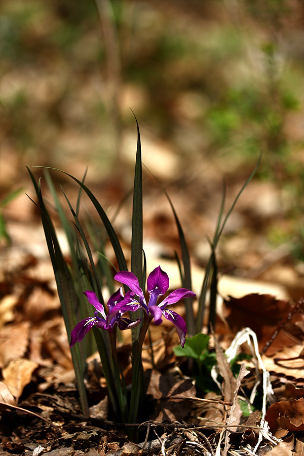2013-04-22 058.jpg