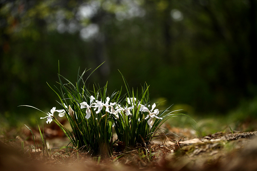2013-05-06 018.jpg
