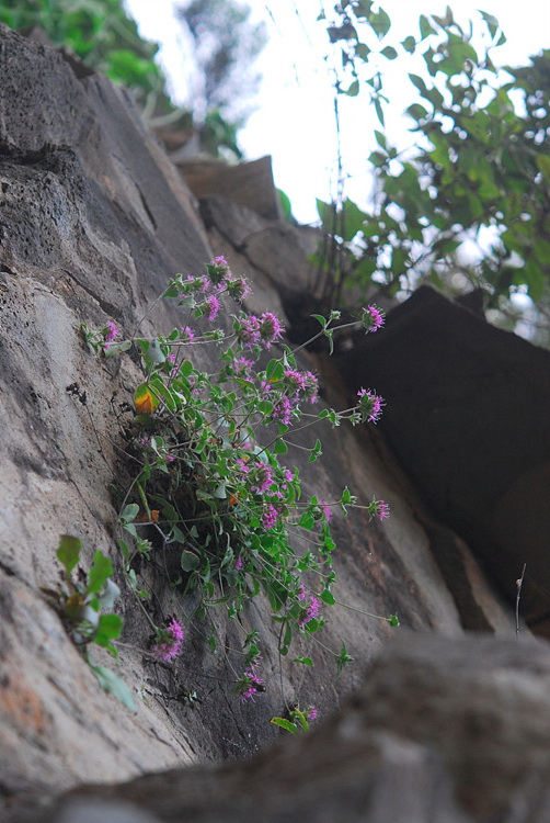 1-DSC_1480.jpg