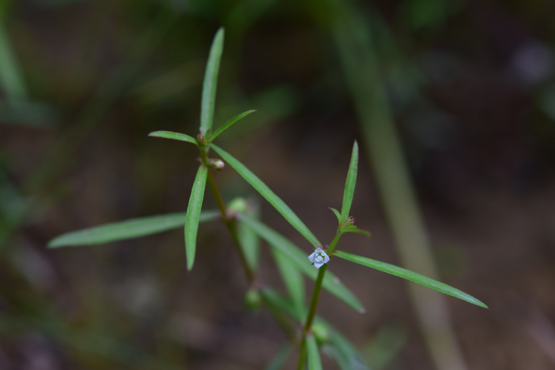 DSC_4461.JPG