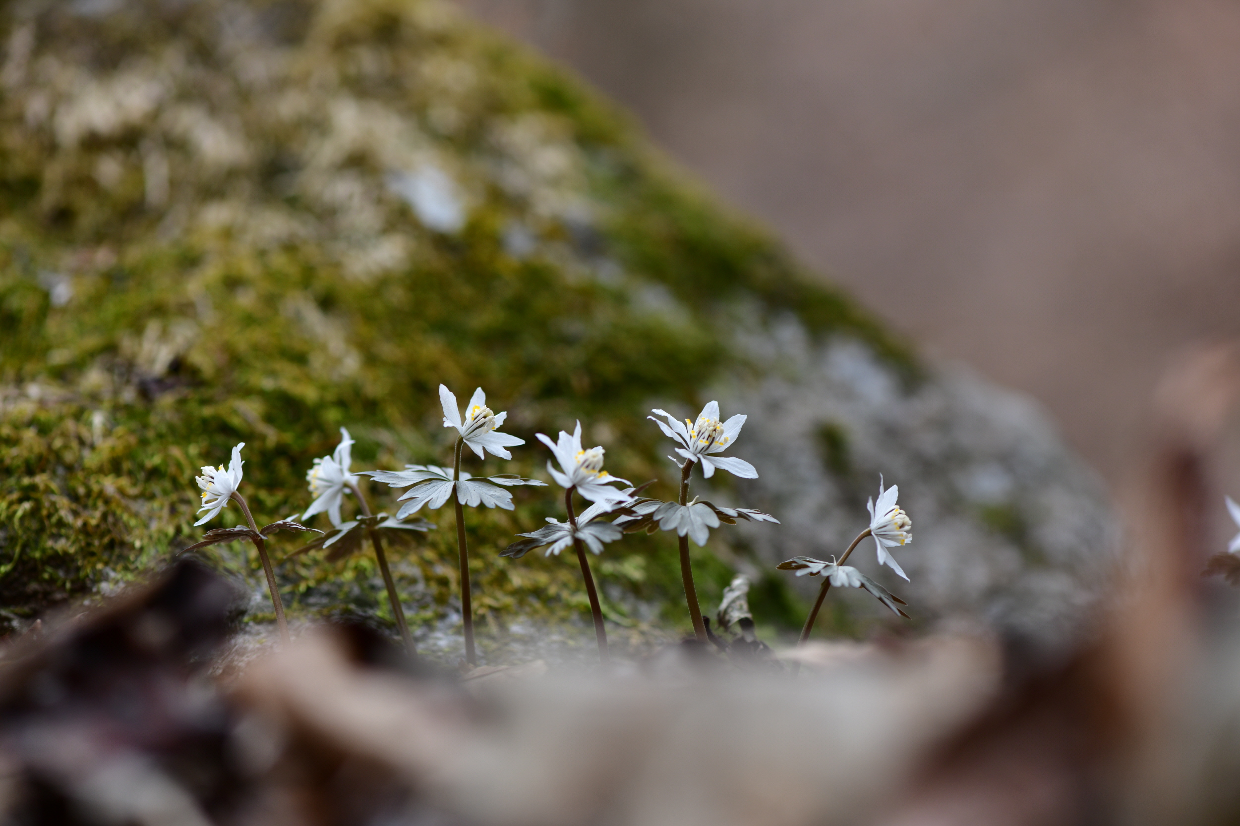 [크기변환]DSC_0284.JPG