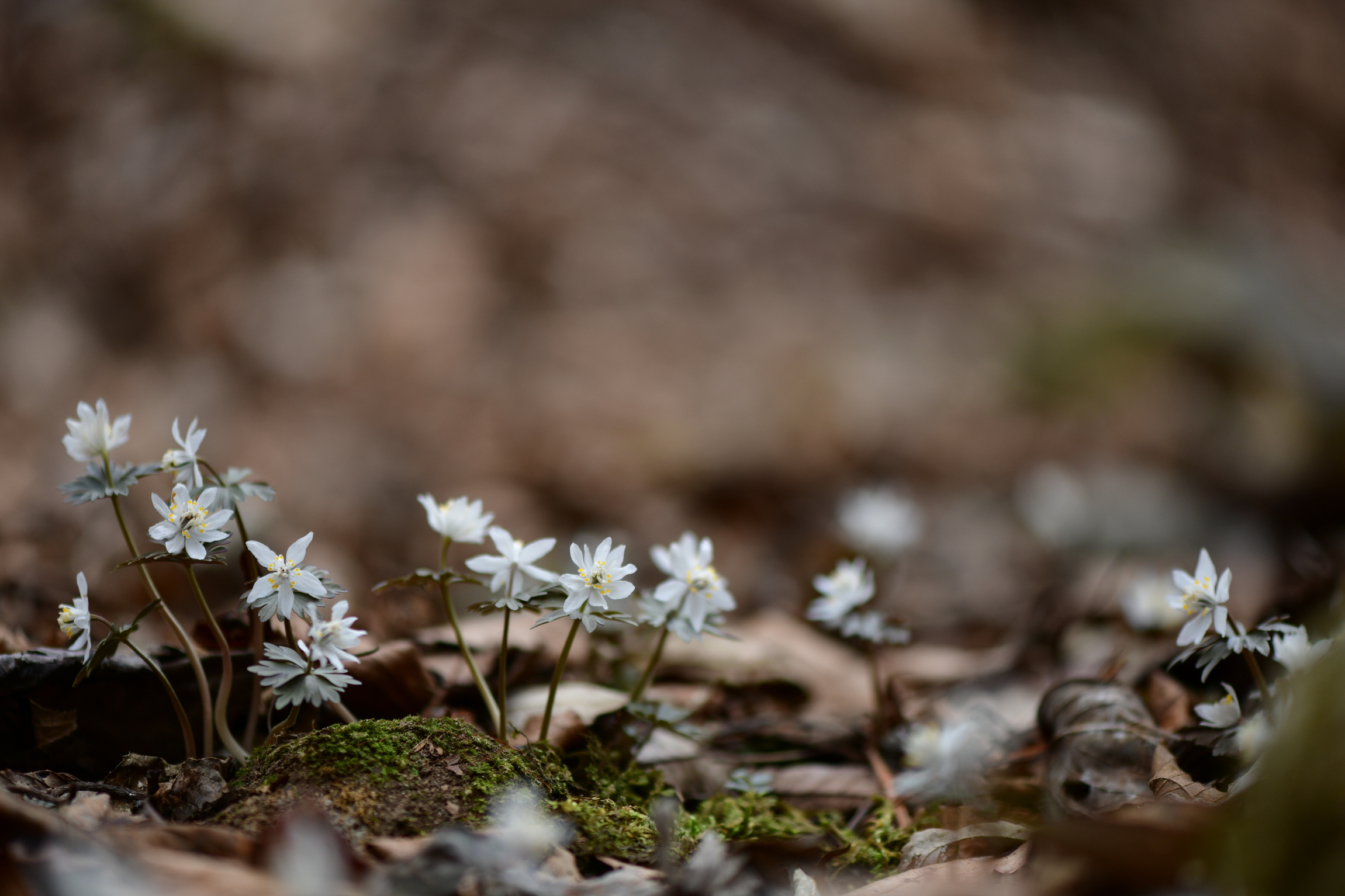 [크기변환]DSC_0313.JPG