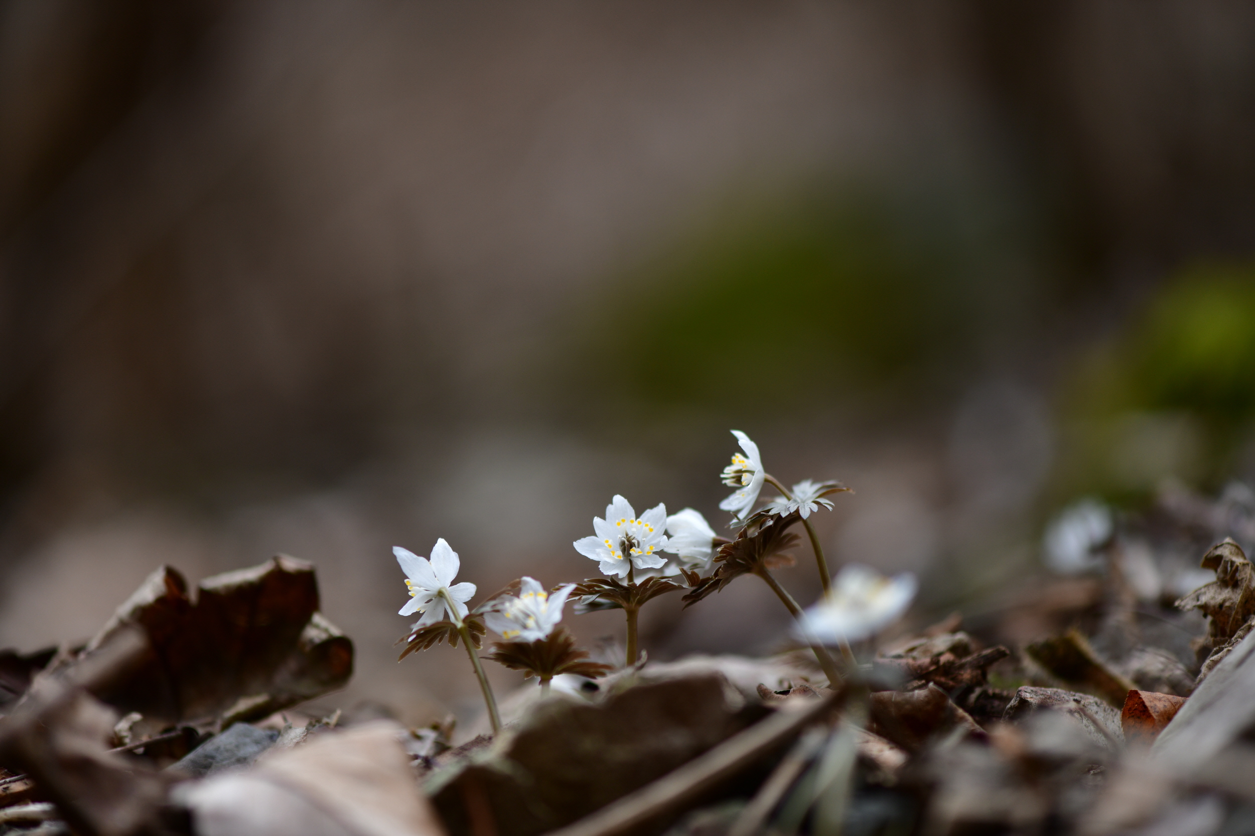 [크기변환]DSC_0276.JPG