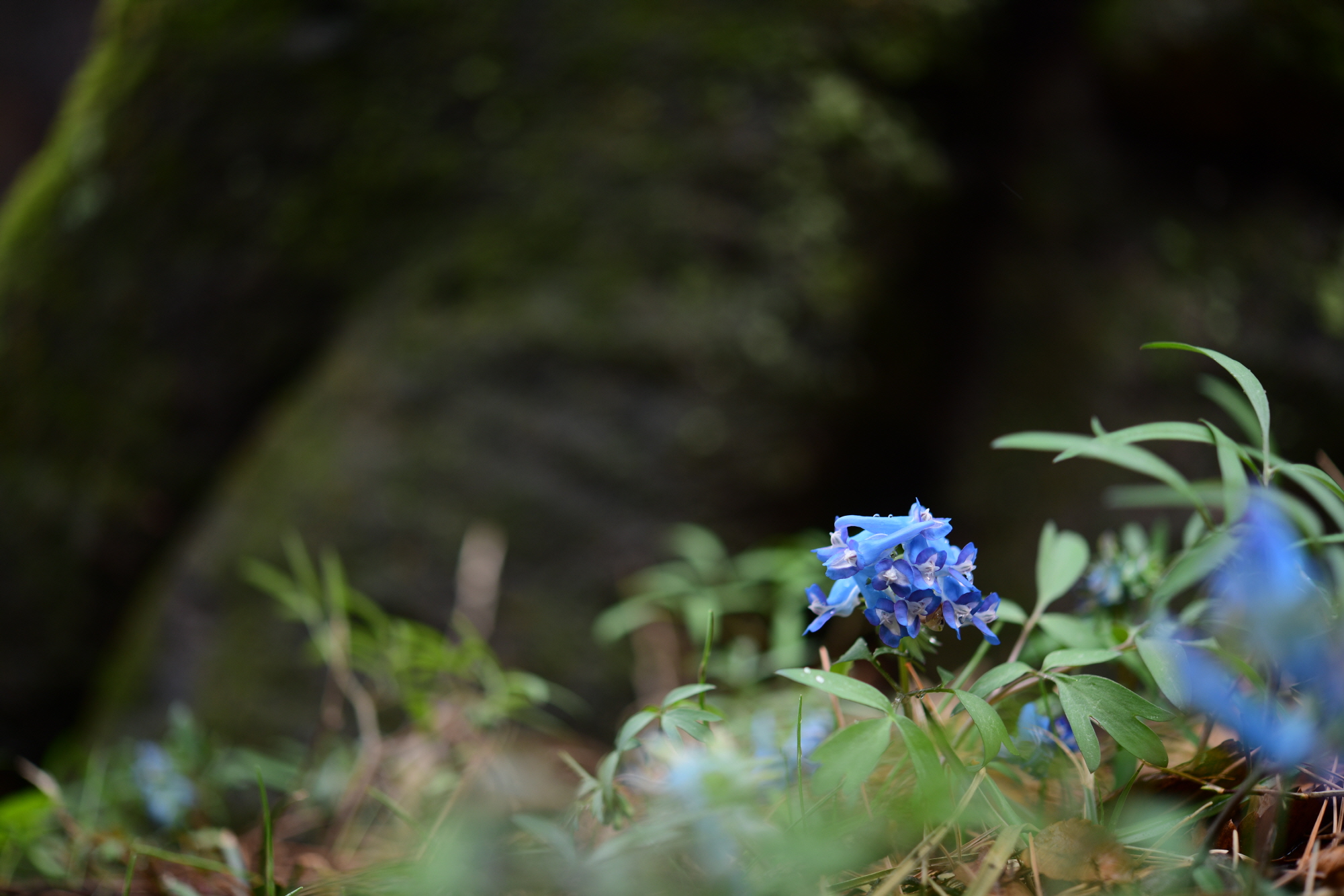크기변환_DSC_0054.JPG