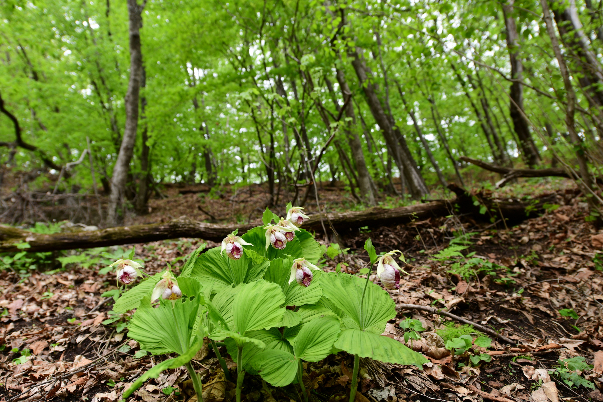 크기변환_DSC_3886.JPG