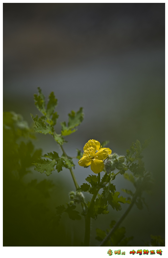 DSC_1098.jpg