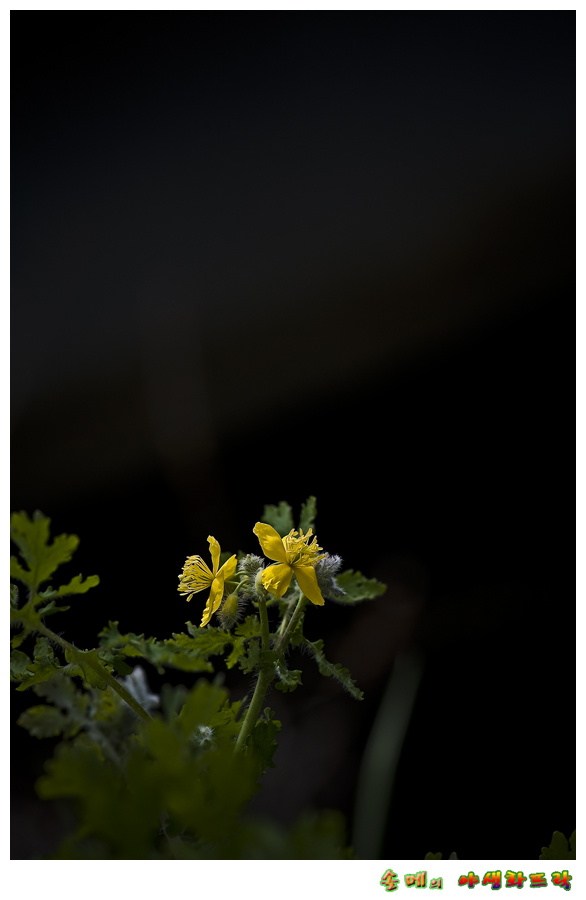 DSC_1094.jpg