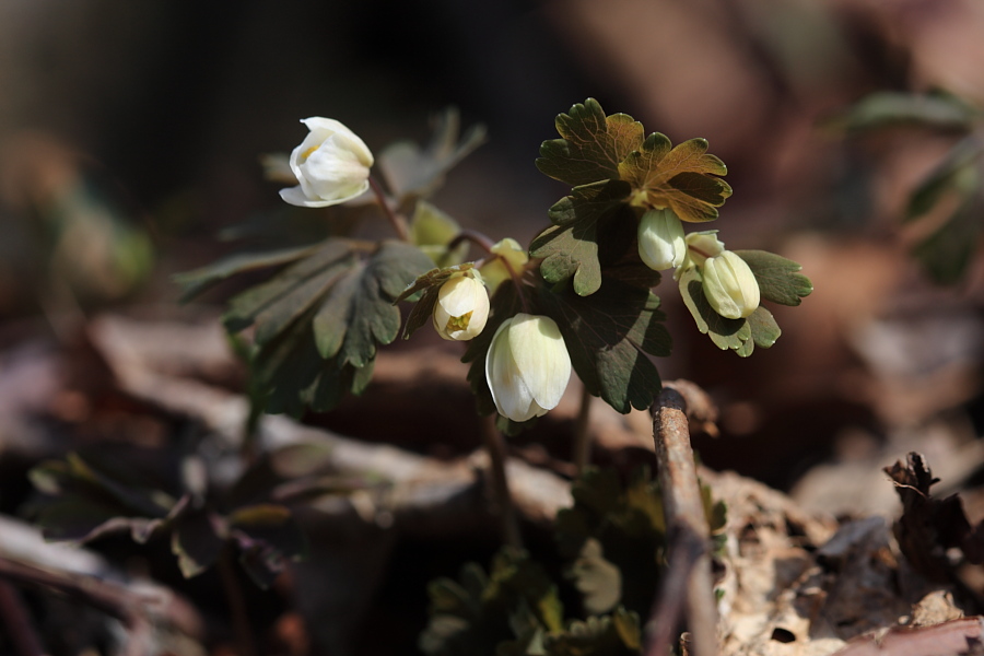 20100402_032.JPG