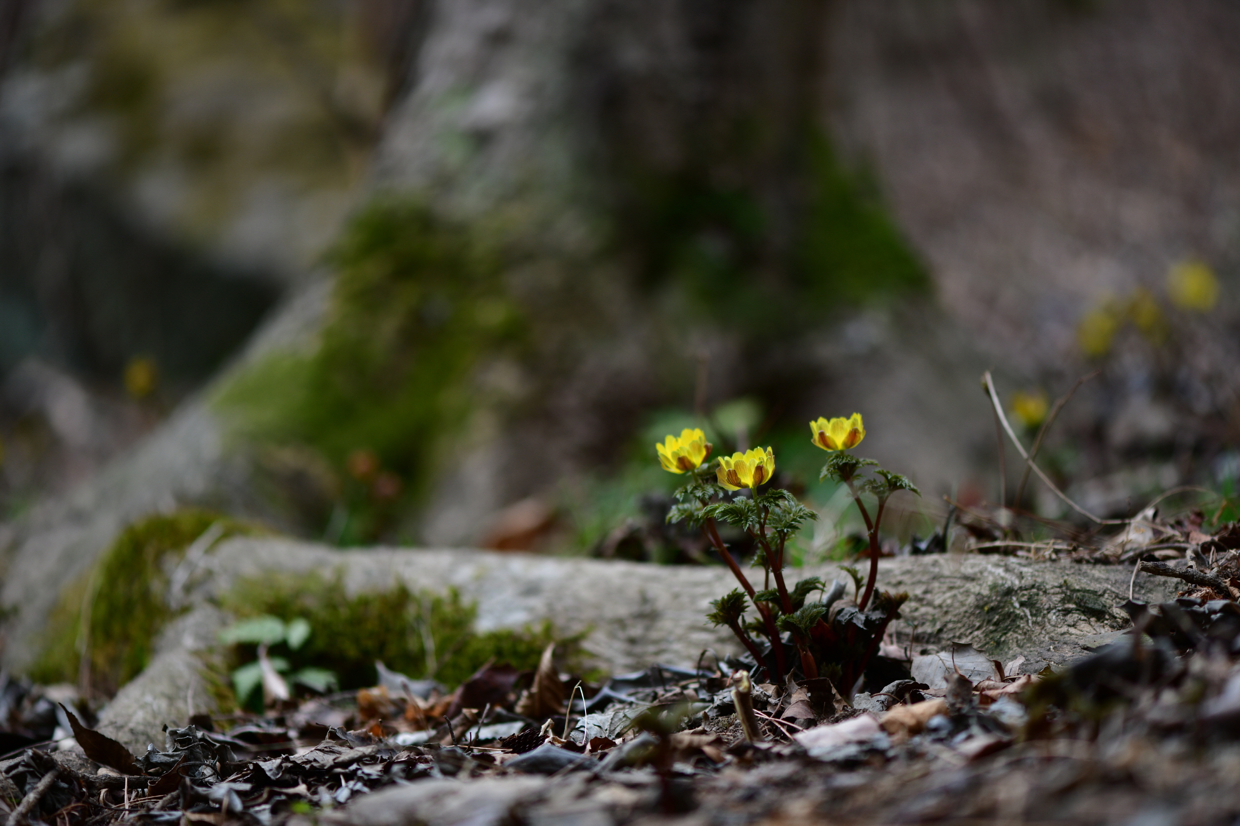 [크기변환]DSC_0423.JPG