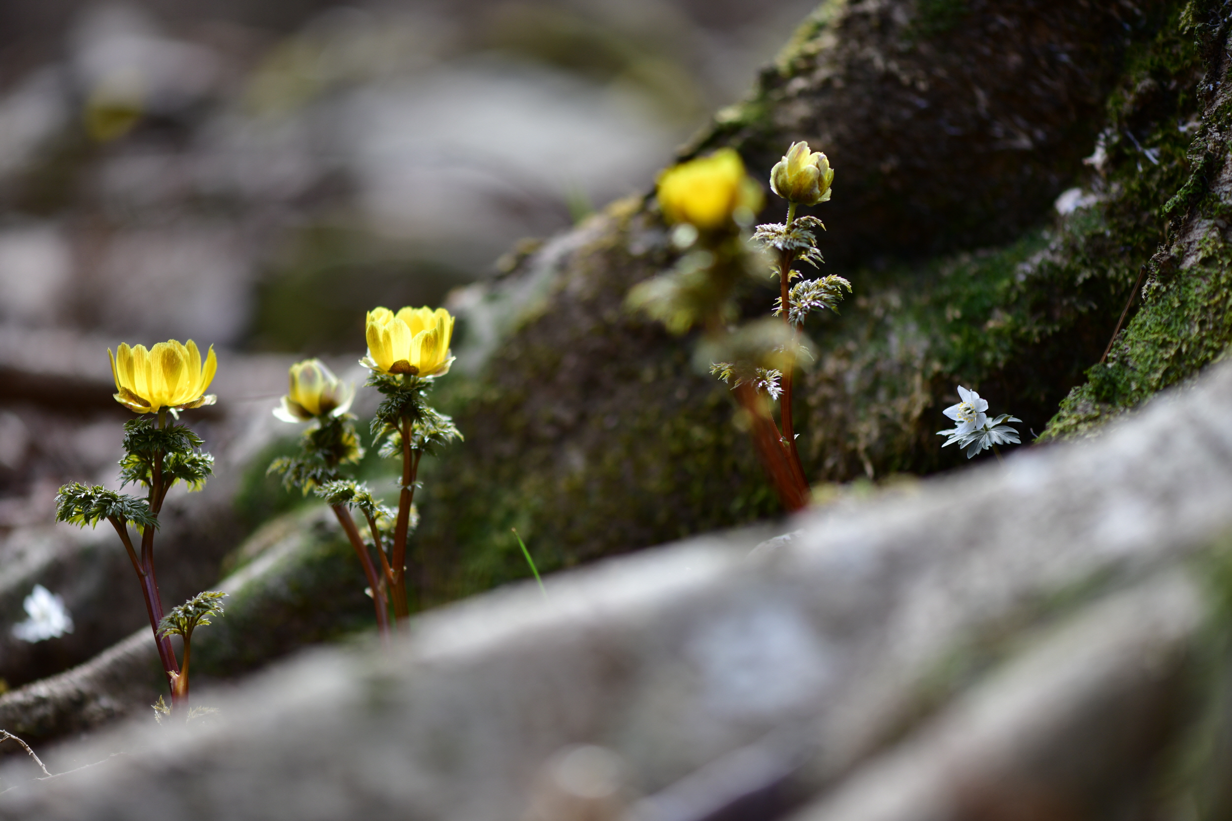 [크기변환]DSC_0626.JPG