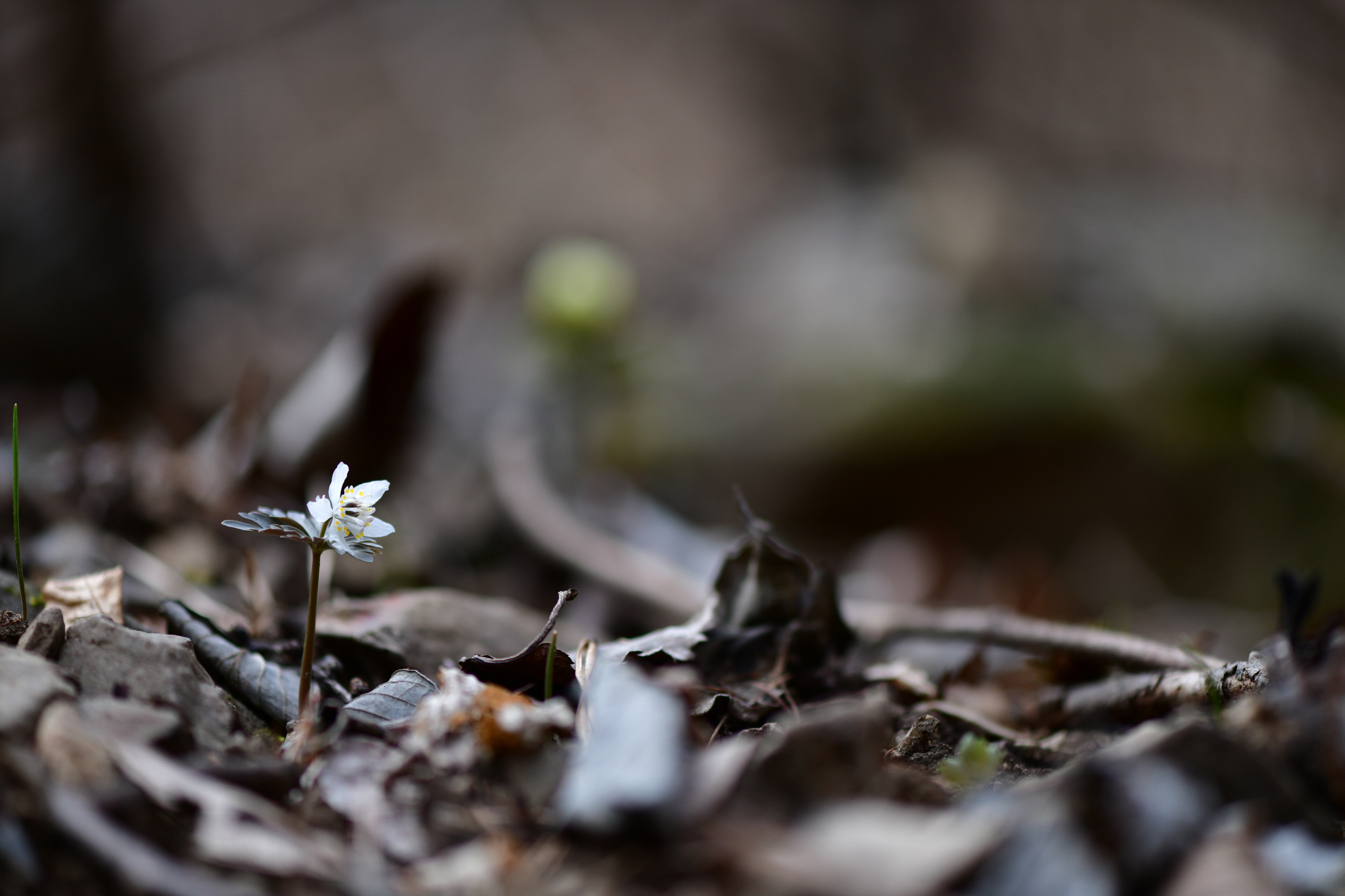 [크기변환]DSC_0552.JPG