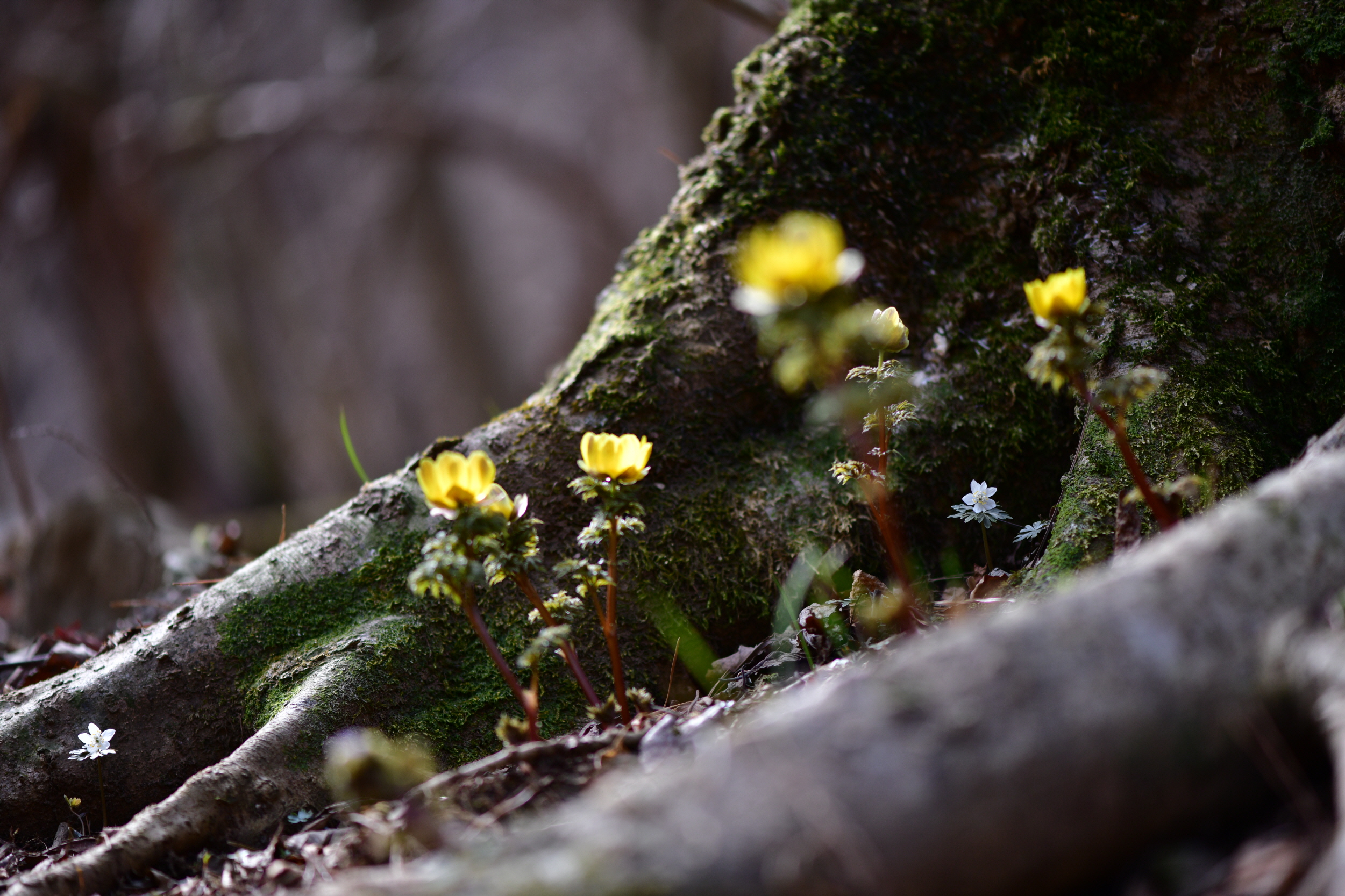 [크기변환]DSC_0642.JPG