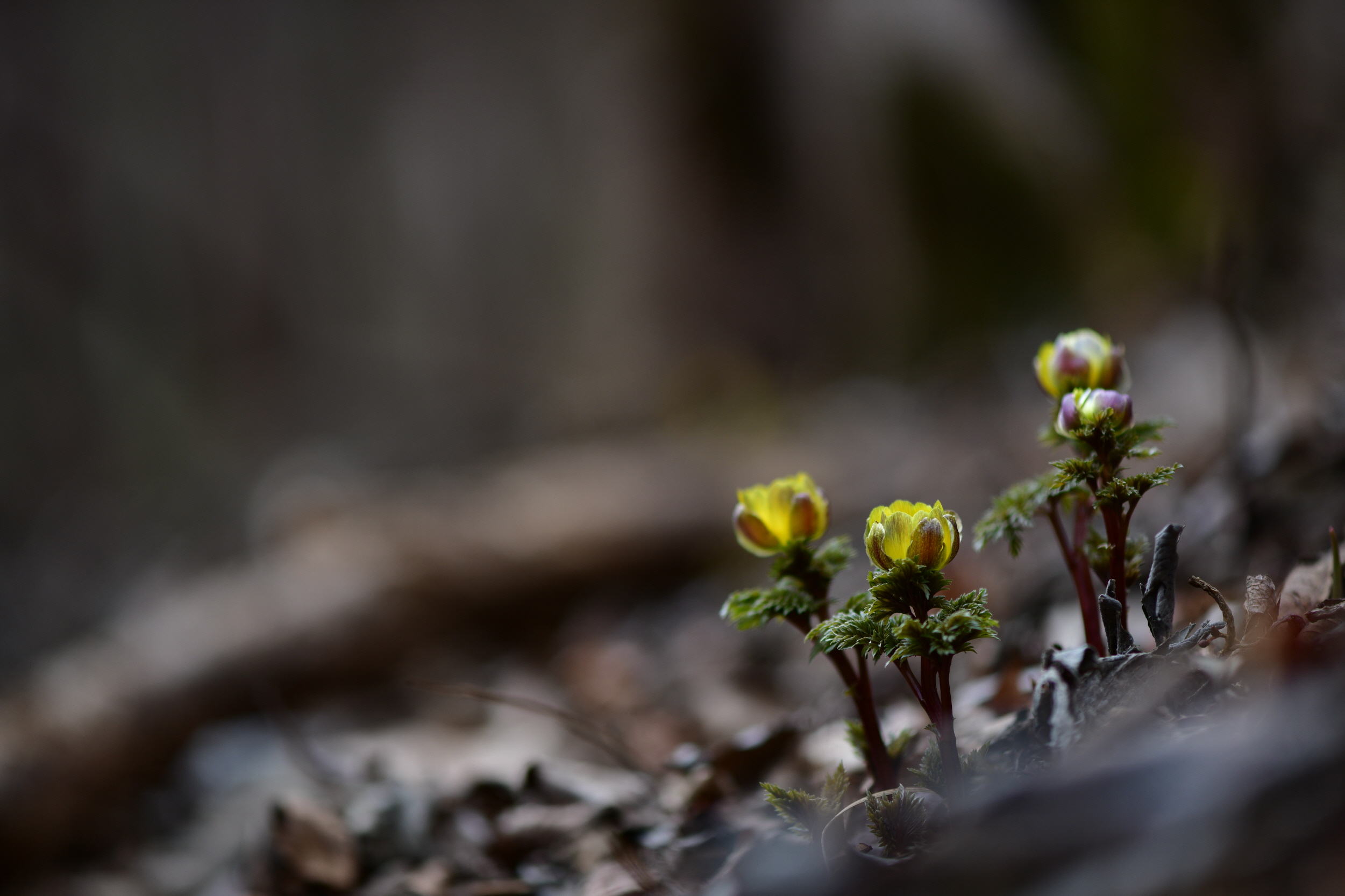 [크기변환]DSC_0435.JPG