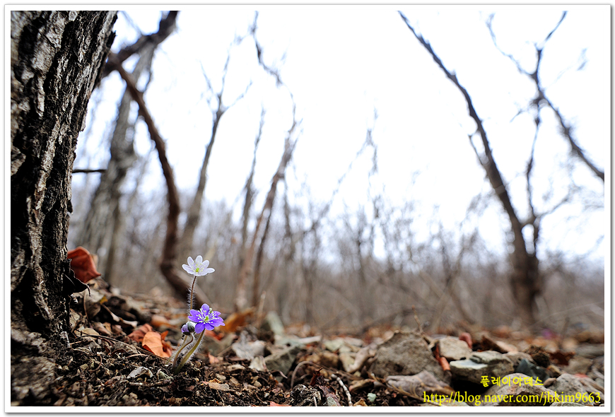 DSC_9490.jpg
