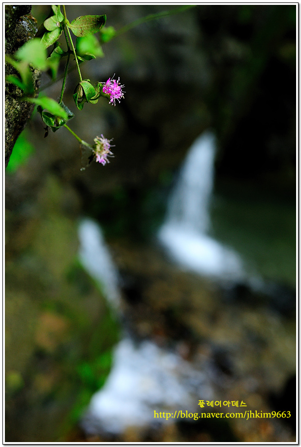 DSC_7619.jpg