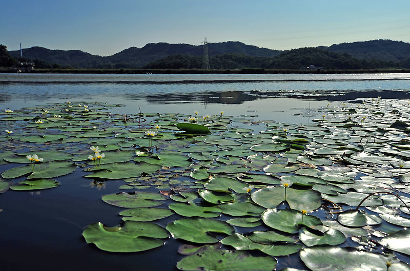 20120627_0087-1.jpg