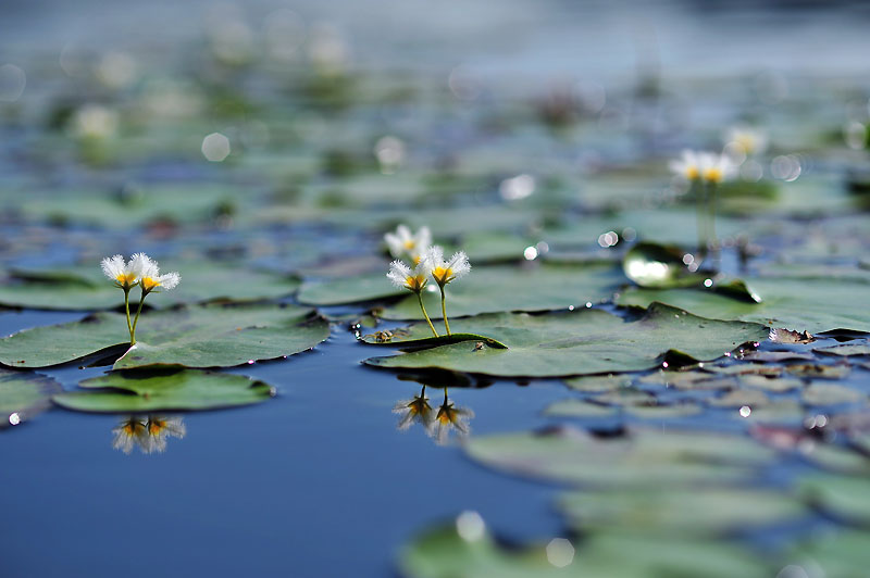 20120627_0077-1.jpg