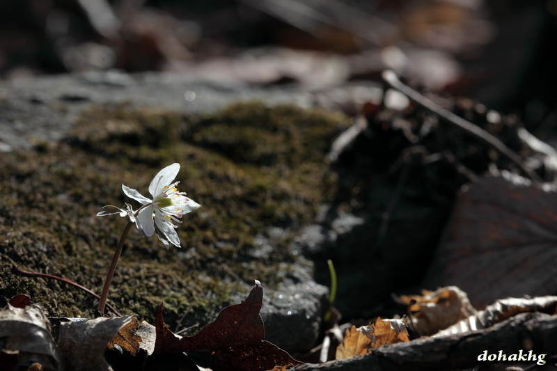 DPP_00060.jpg