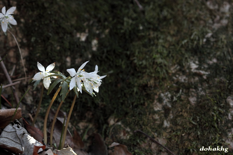 DPP_00021.jpg