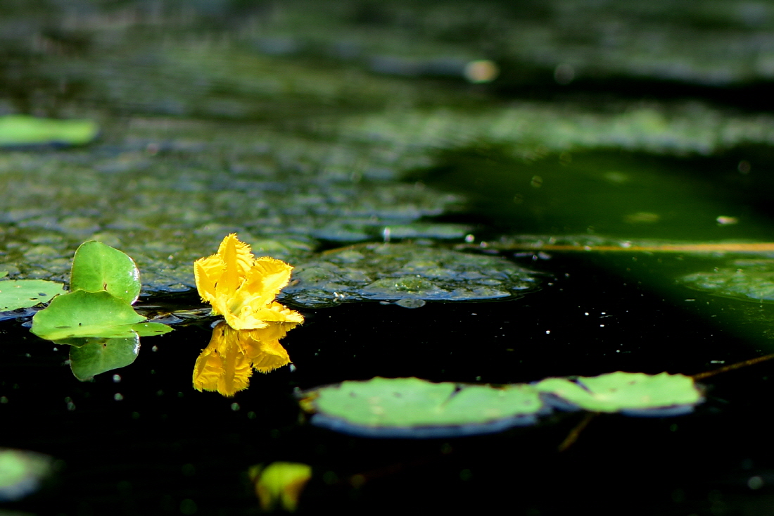 DSC_7185.JPG