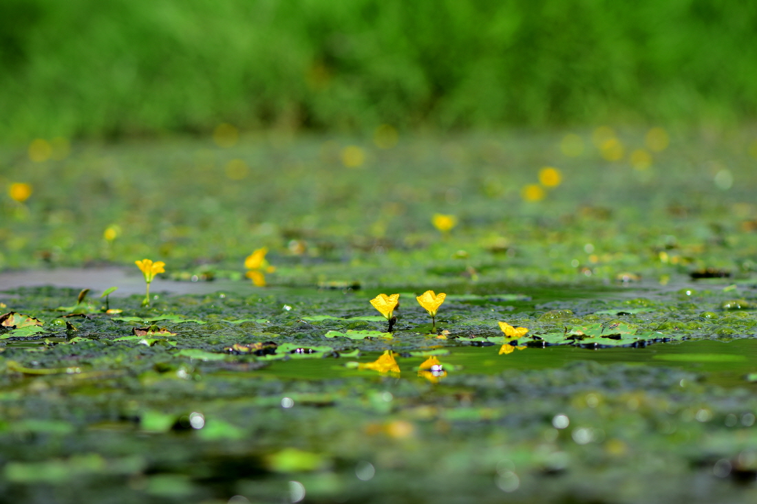 DSC_7114.JPG