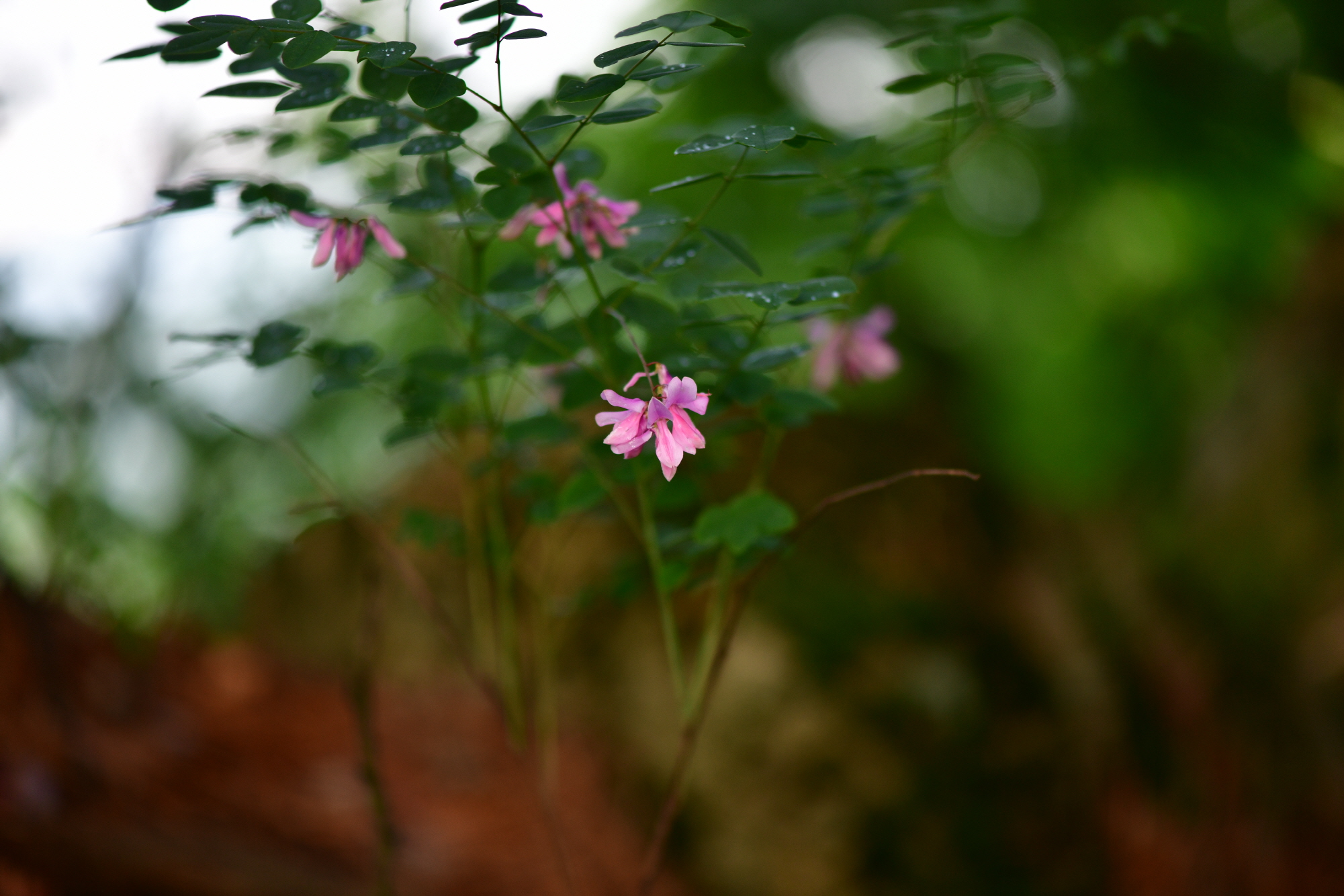 크기변환_DSC_4578.JPG