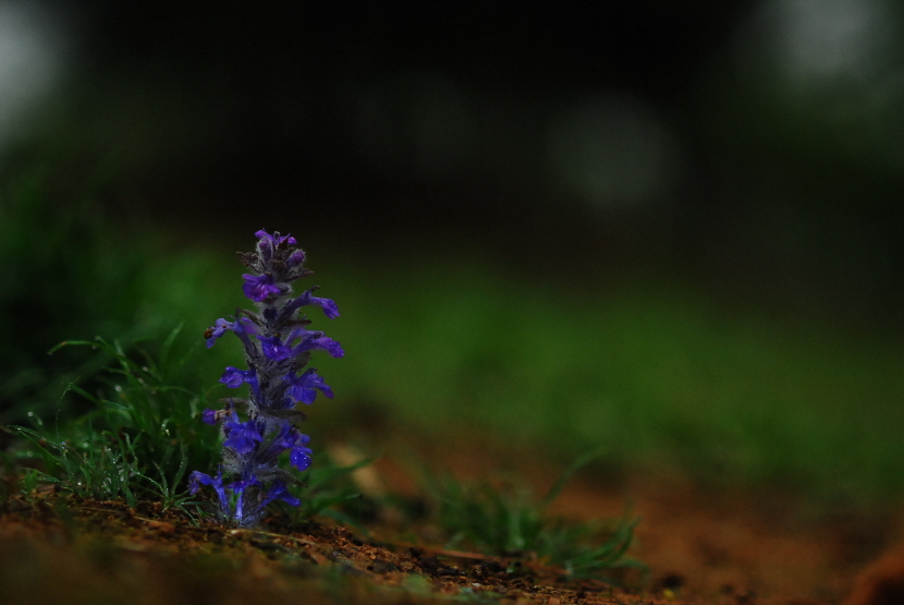 크기변환_DSC_0482.JPG