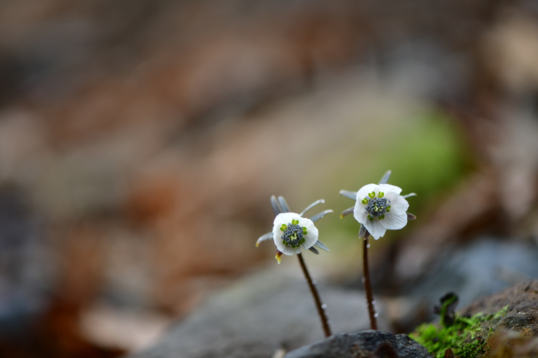DSC_0160.JPG