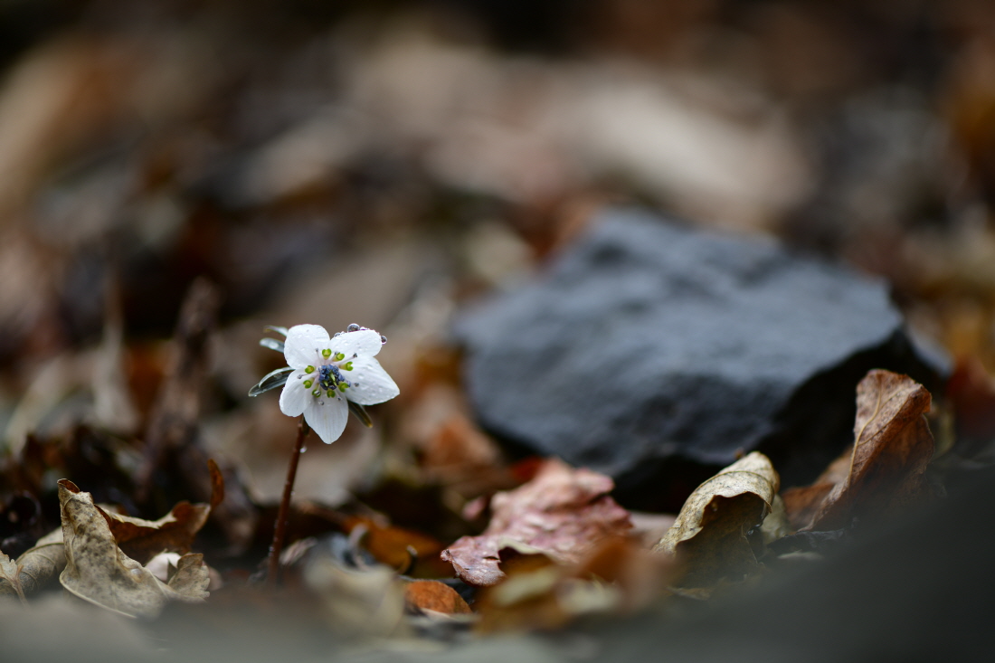 DSC_0158.JPG