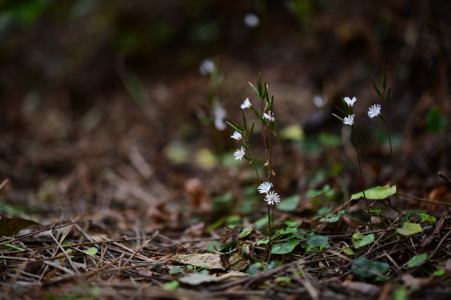 크기변환_DSC_4612.JPG