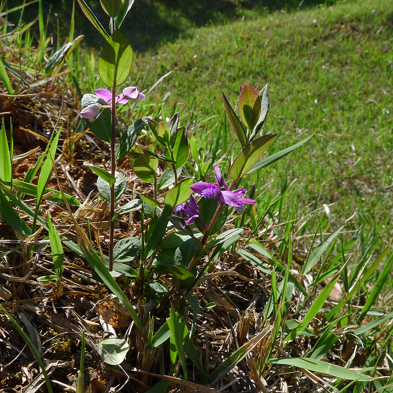 20130516-L1060997.jpg