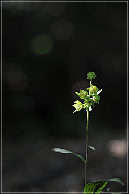 DSC_4029.JPG