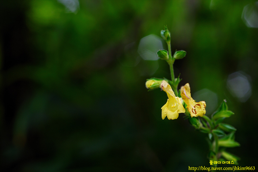 DSC_2883.jpg