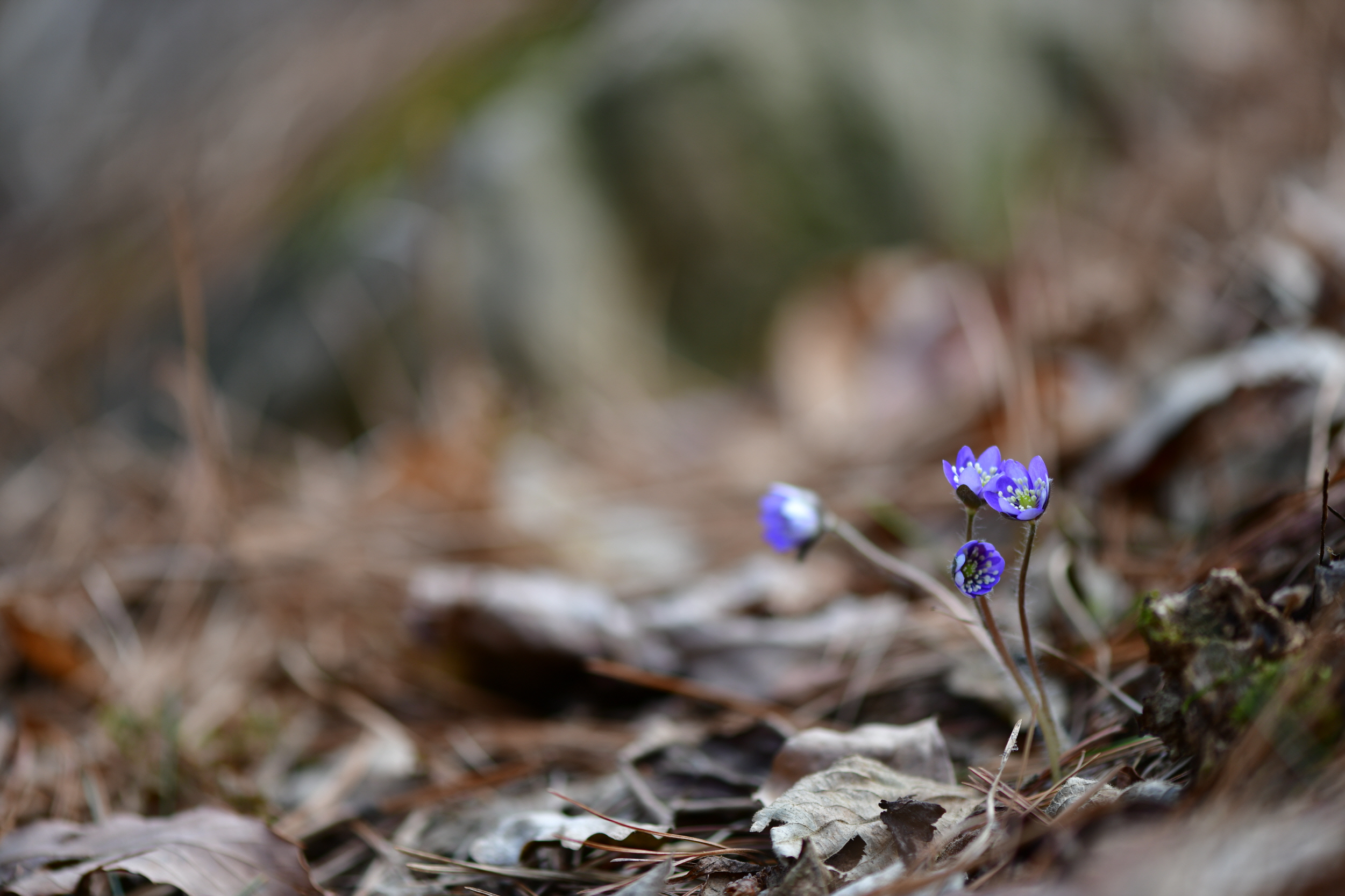 [크기변환]DSC_0867.JPG