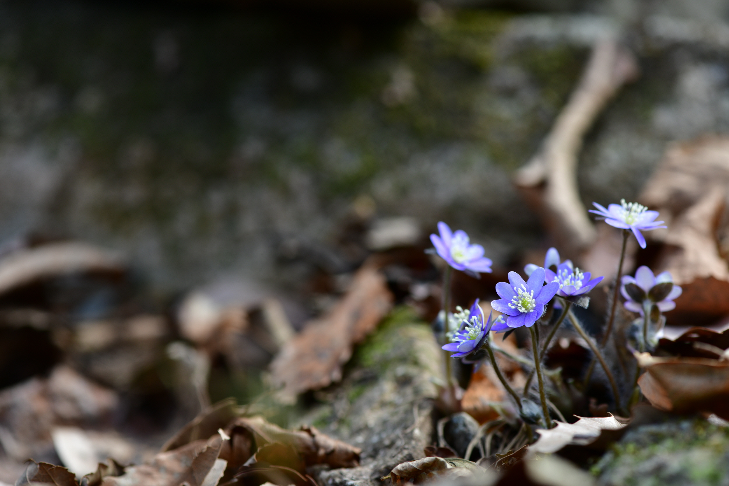 [크기변환]DSC_0765.JPG