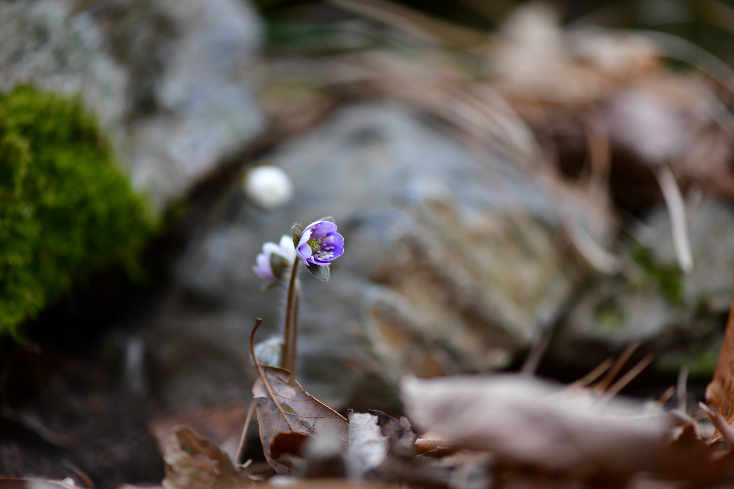 [크기변환]DSC_0984.JPG